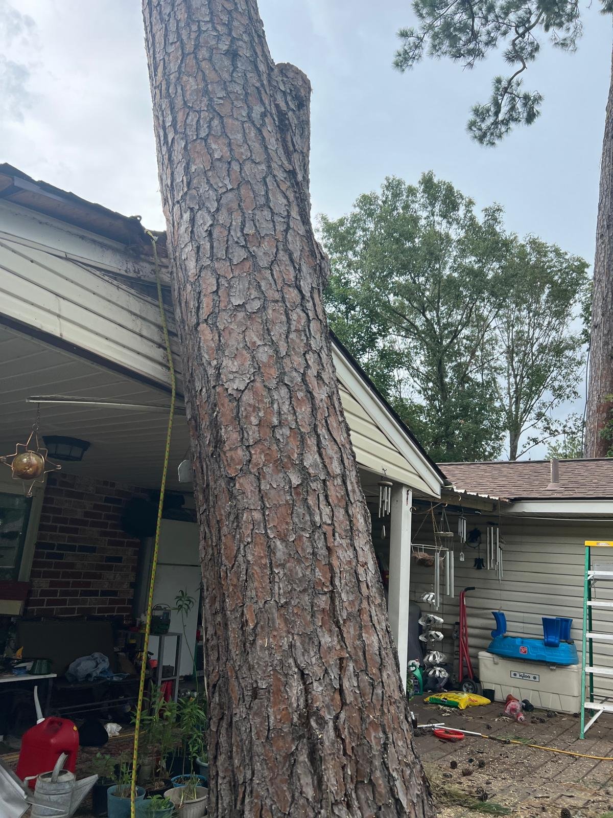 Gallery Image 13